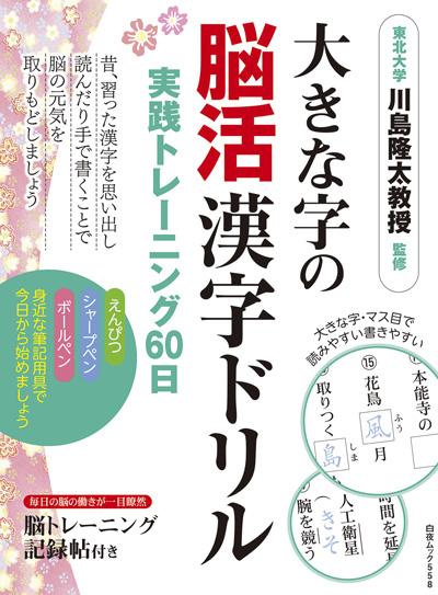 大きな字の脳活漢字ドリル 実践トレーニング60日